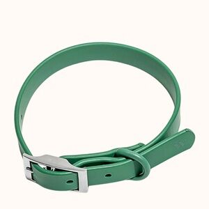 Wild One Green Spruce Dog Collar - Size Large